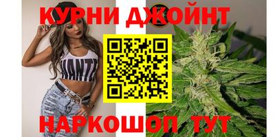 мдпв Донской