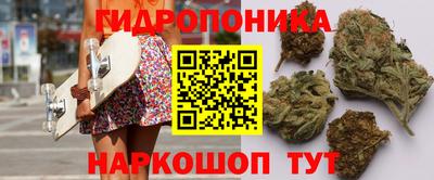 мдпв Донской