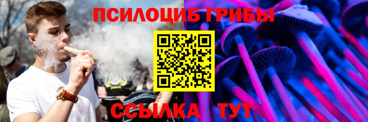 Псилоцибиновые грибы Cubensis  Вход с VPN  Мирный 